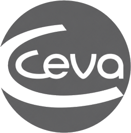 Ceva
